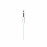 Apple Lightning naar mini jack kabel (1,2 meter)